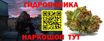 СК Братск